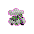 Exotic Torkoal